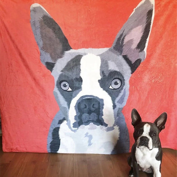 ❥顔のみ❥ クーラー対応 猫・犬カスタム 用品 絵描くブランケット ♪ オーダーメイド