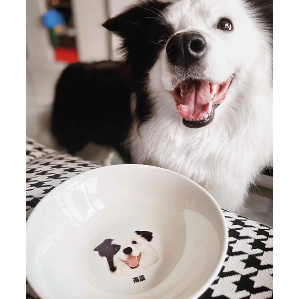 カスタム ペットフードボウル オリジナル ✨ 猫用 犬用 食器 ペット 名前 用品
