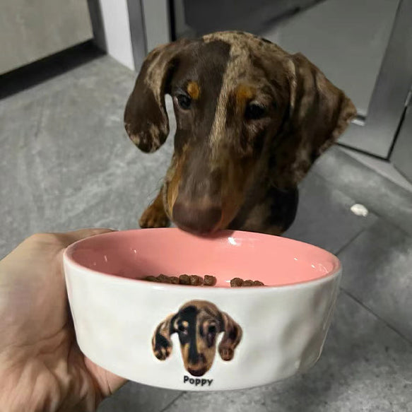カスタム ペットフードボウル オリジナル ✨ 猫用 犬用 食器 ペット 名前 用品
