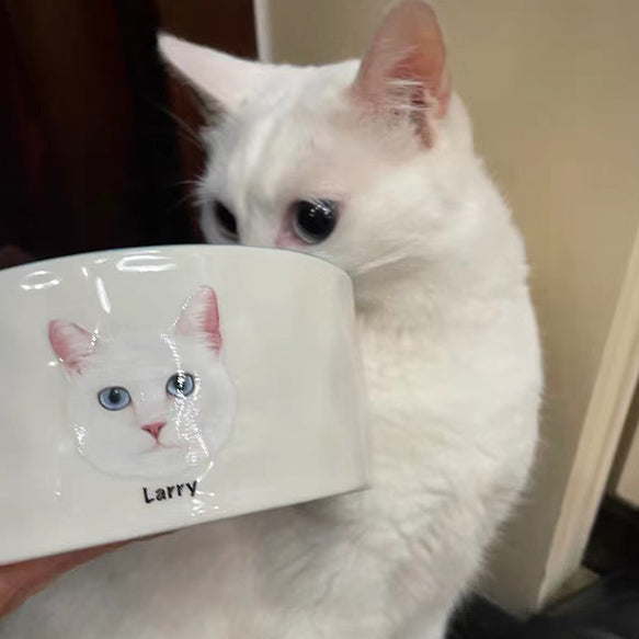 カスタム ペットフードボウル オリジナル ✨ 猫用 犬用 食器 ペット 名前 用品