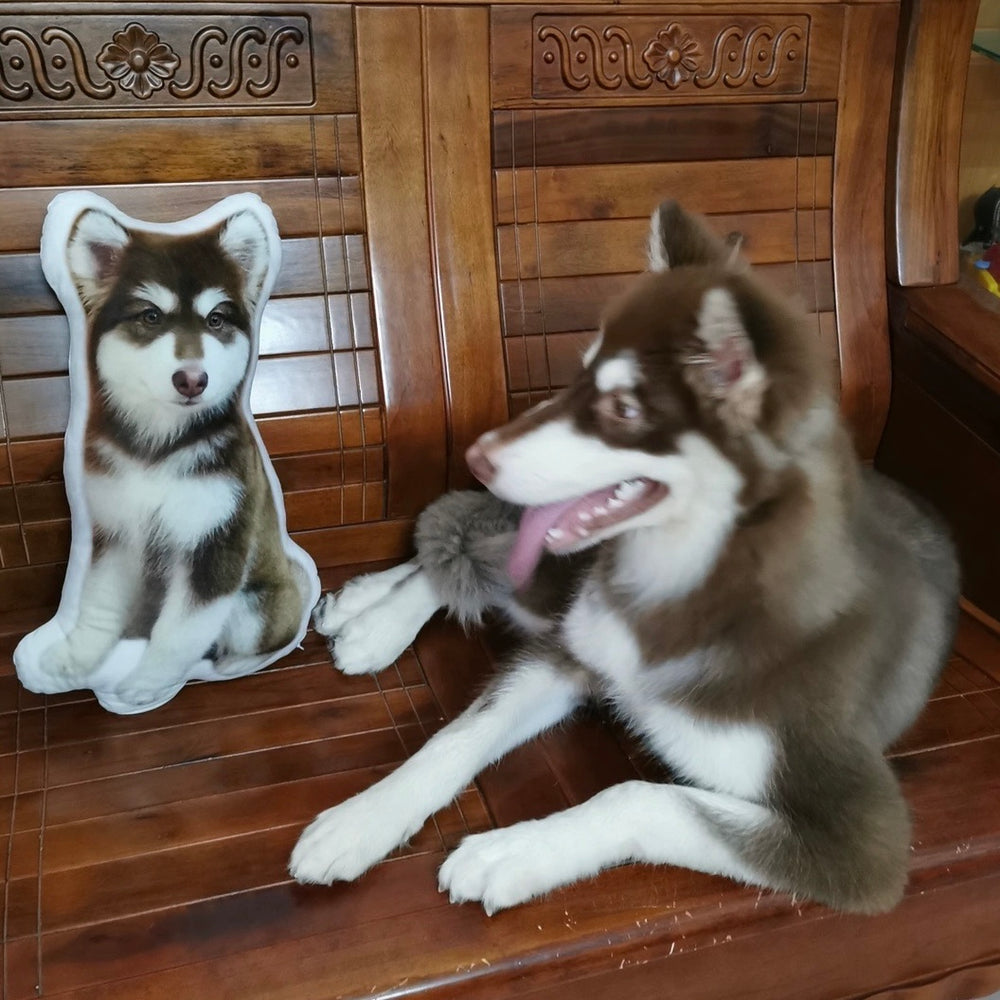 ペット写真でのカスタマイズ｜異形抱き枕｜オリジナルデザイン