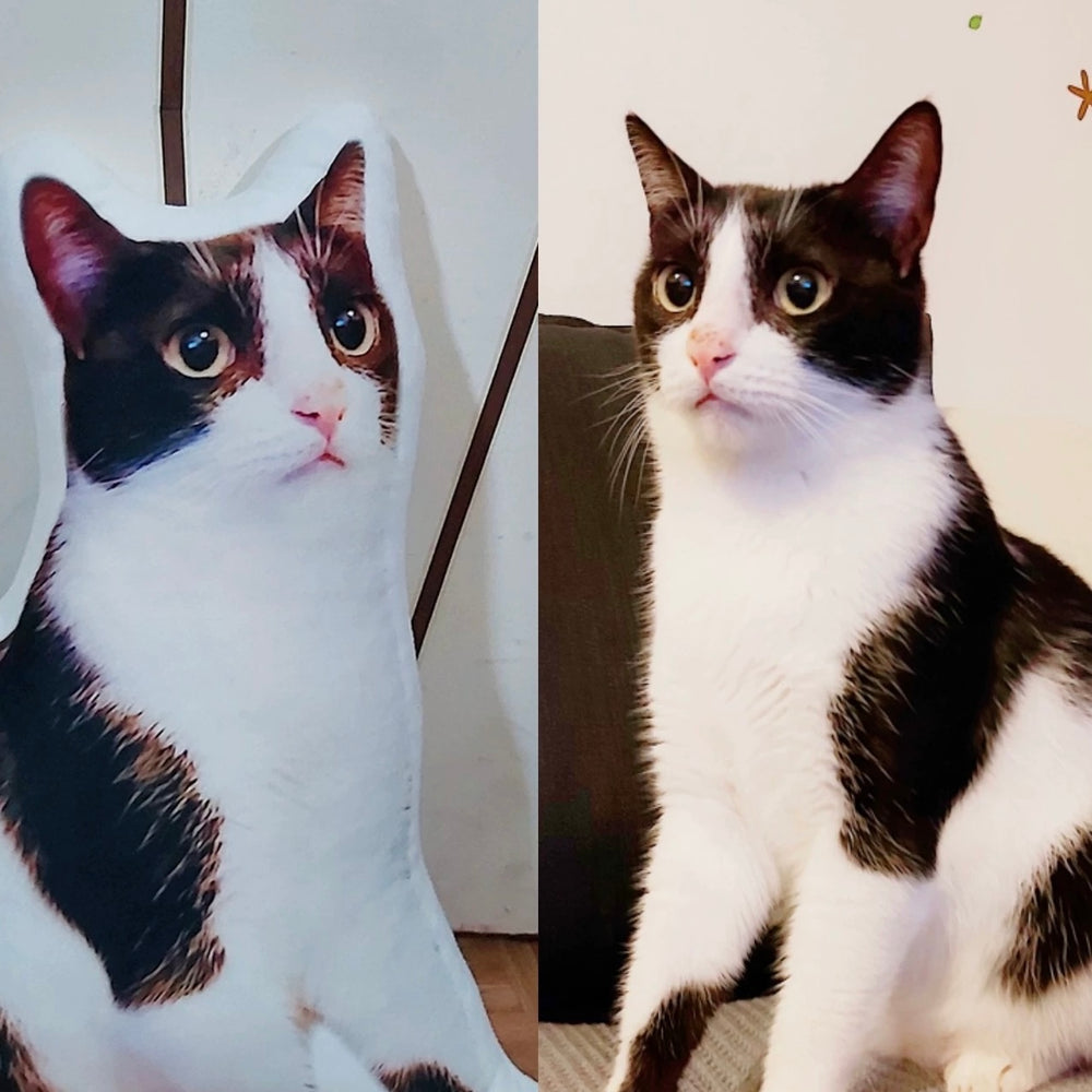 ペット写真でのカスタマイズ｜異形抱き枕｜オリジナルデザイン