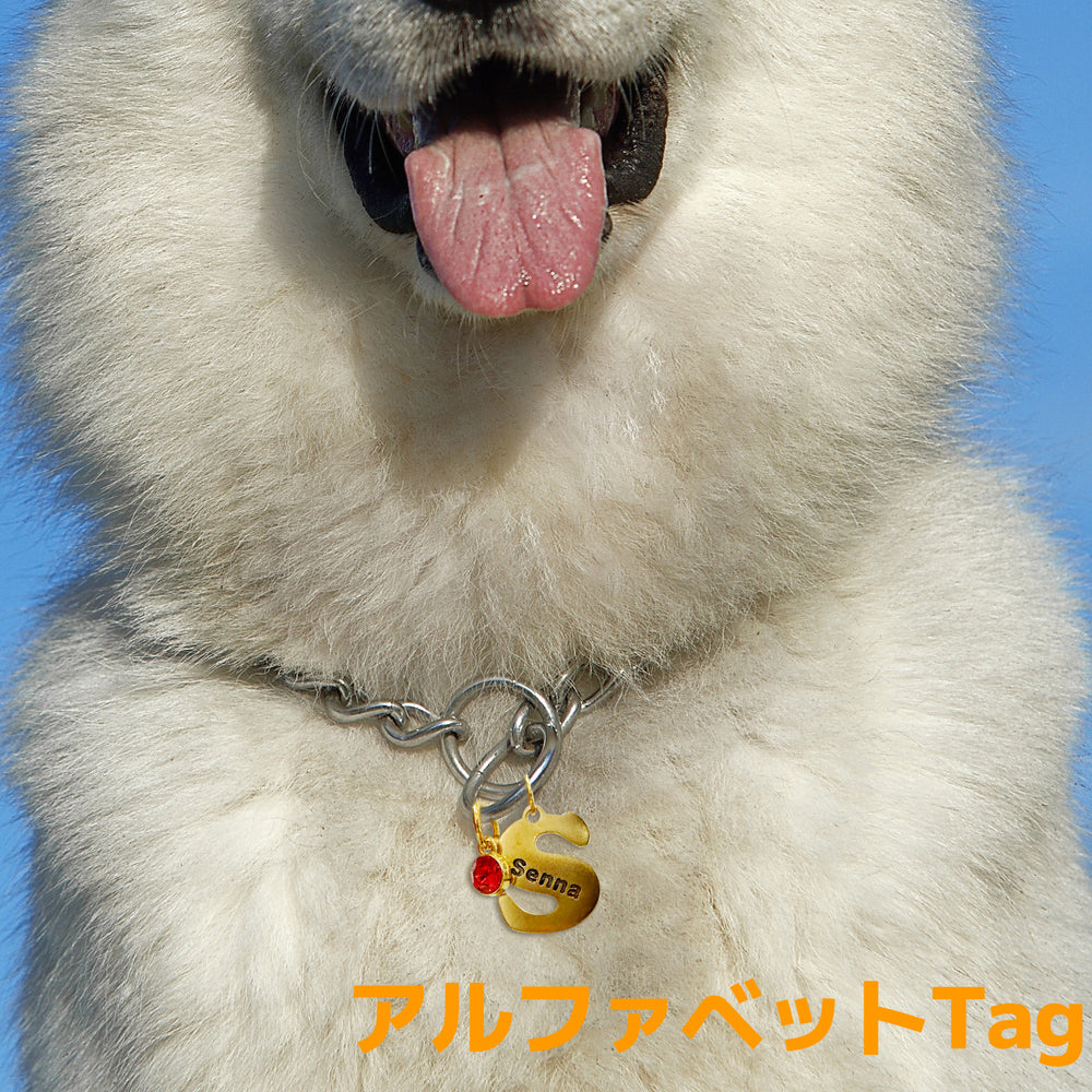 オリジナル迷子札◆アルファベットtag◆人気なギフト