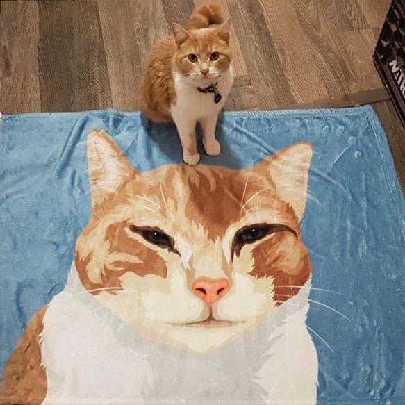 ❥顔のみ❥ クーラー対応 猫・犬カスタム 用品 絵描くブランケット ♪ オーダーメイド