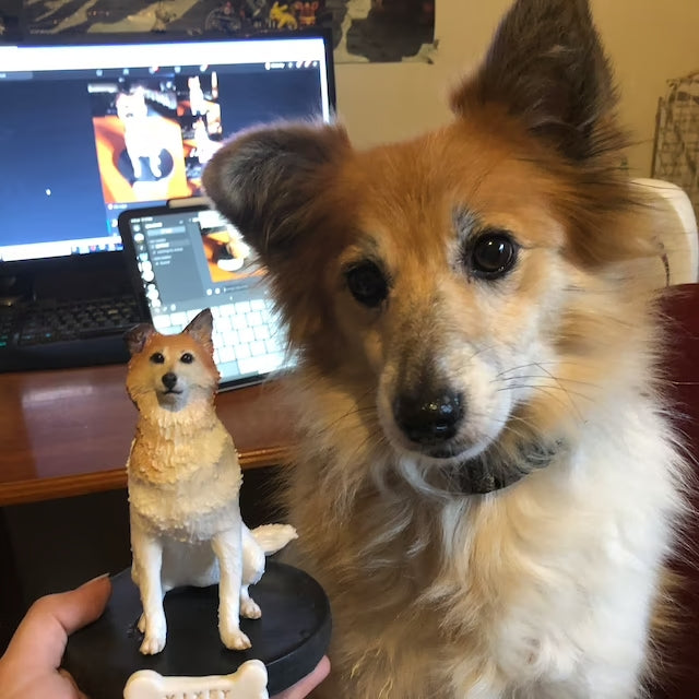 【オーダーメイド】うちの子　写真から可愛いフィギュアに　お名前入り