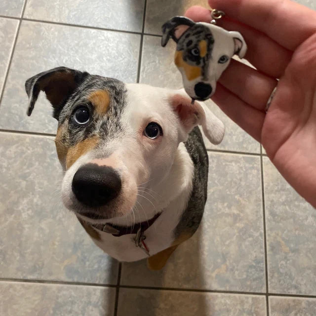 オリジナル似顔絵ペットキーチェーン