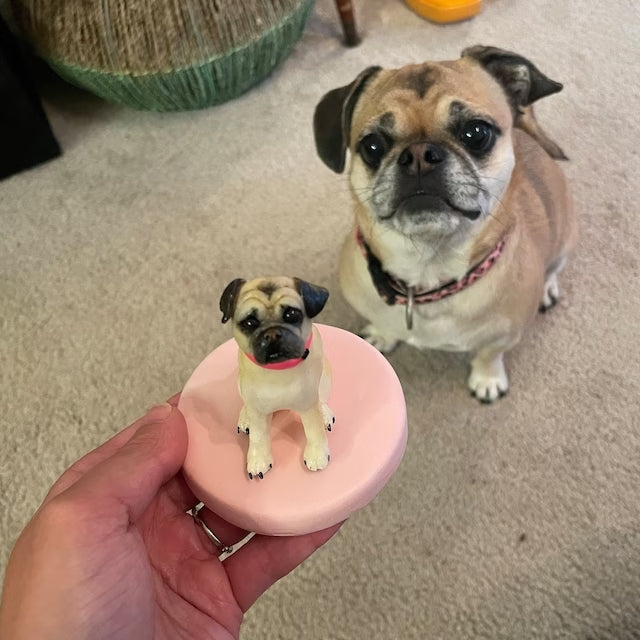 【オーダーメイド】うちの子　写真から可愛いフィギュアに　お名前入り