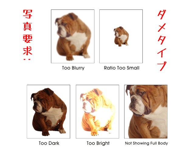 【油絵クッション❤】オーダーメイド